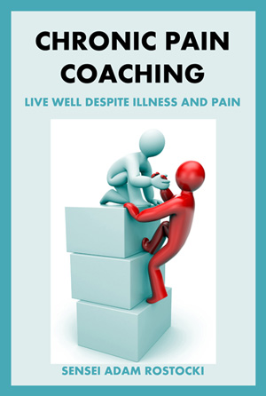 Self Help Program The Chronic Pain Coach